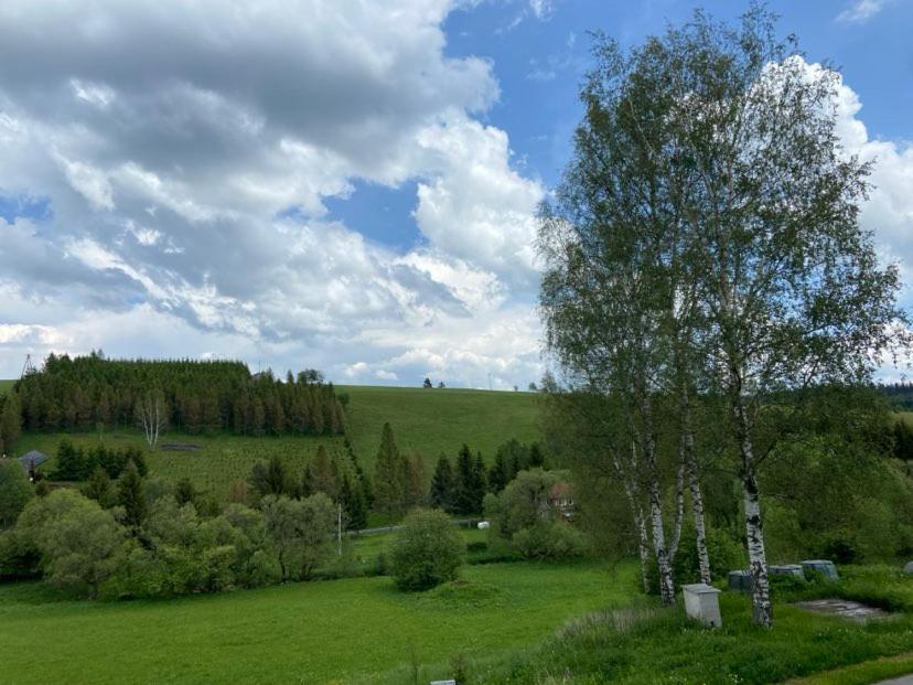 Apartman Orlicke Hory Orlicke Zahori Zewnętrze zdjęcie