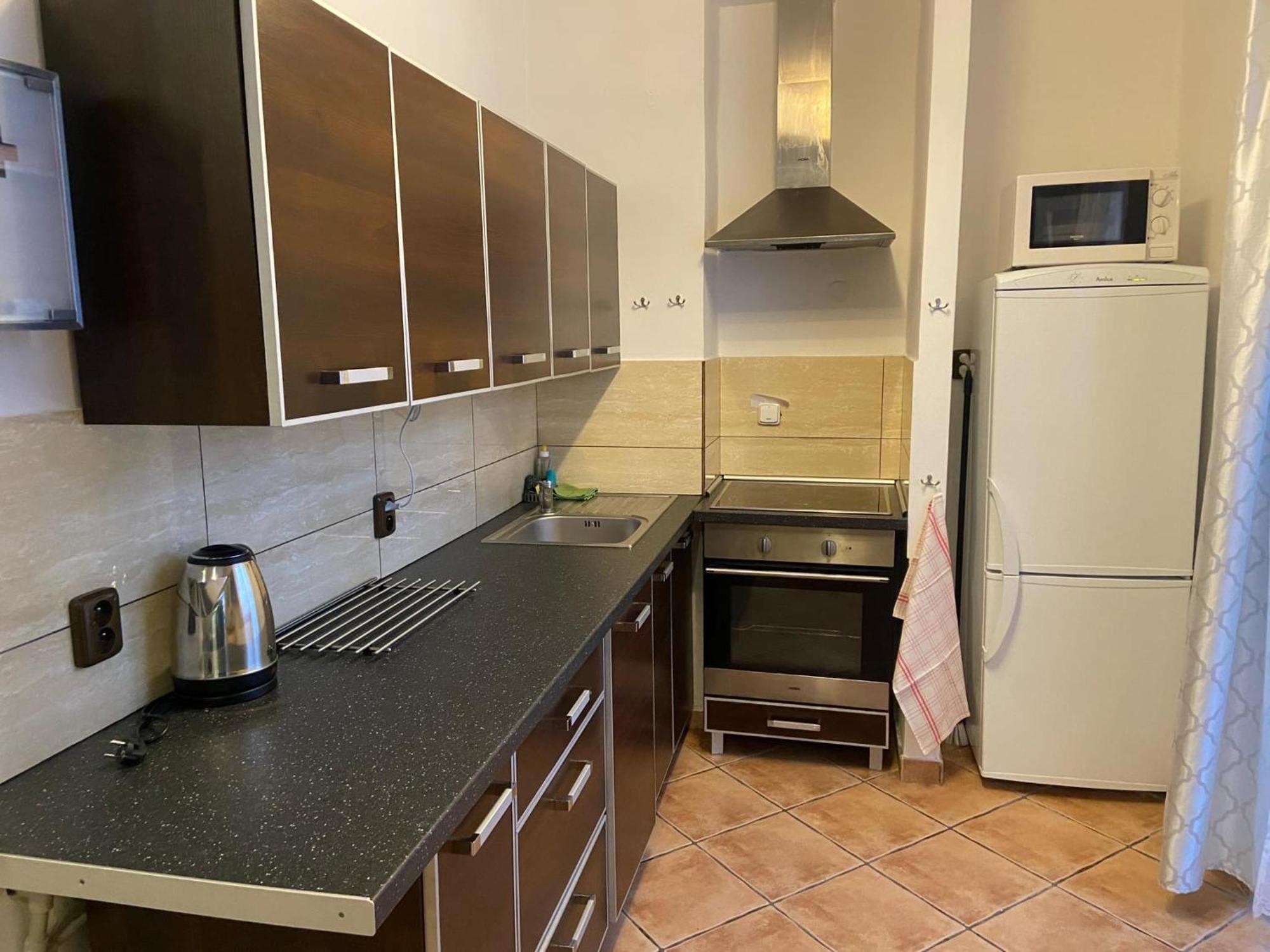 Apartman Orlicke Hory Orlicke Zahori Zewnętrze zdjęcie